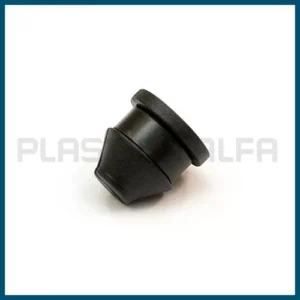 Plug with rubber