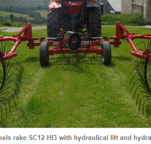 DCM Finger Wheels Hay Rake