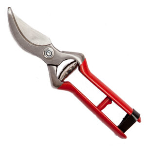VINEYARD PRUNER PASTICIZED – FORGED – LEATHER CLOSING